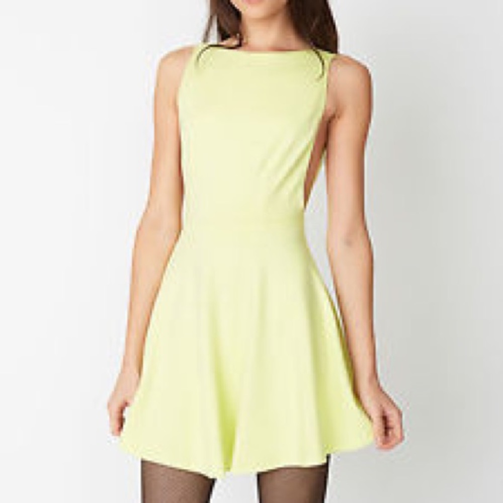American Apparel Ponte Sleeveless Skater Dress